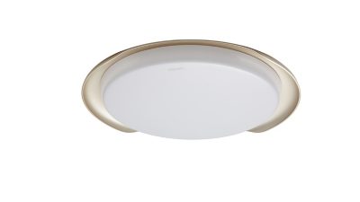 智能 LED 吸顶灯