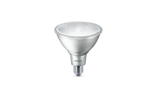 CorePro LEDspot PAR