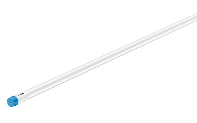 CorePro tubo LED EM/230V T8