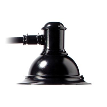 Domus, 80 LED, Type IV, Long Globe HSS