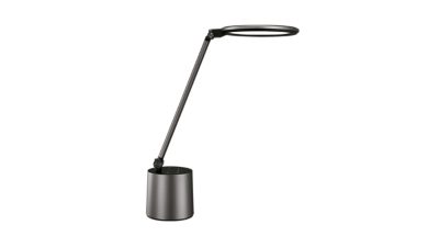 Desk Lights Darwin Desk Light