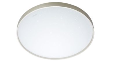 吸顶灯 吸顶灯 80 瓦