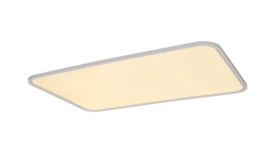 吸顶灯 吸顶灯 125 瓦矩形