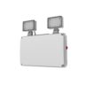 EM120C Twin-head LED10/865 IP65