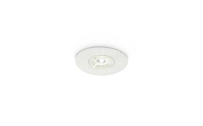 Notfall-Downlight