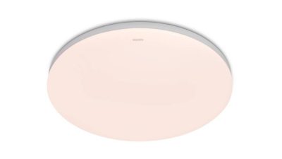 吸顶灯 吸顶灯 80 瓦