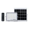 BVC010 LED10/765 Solar