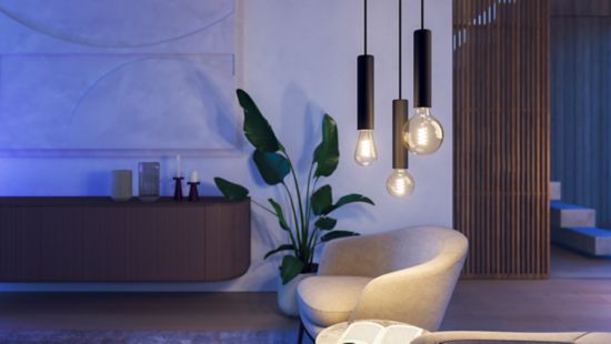 Ontworpen voor Philips Hue filamentlampen