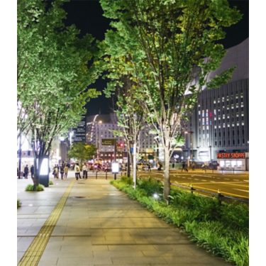Hadco FlexScape LED accent line voltage landscape luminaire (B9