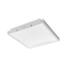 2x2, 2000 Nominal Delivered Lumens, 80 CRI, 3500K, Curved Diffuse