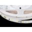 Fortimo LEDFlex 50m 1000lm/m 830 C10 G1