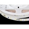 Fortimo LEDFlex 5m 1000lm/m 930PW C5 G1