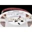 Fortimo LEDFlex 5m 1500lm/m 930PW C5 G1