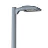 PureForm P15, Precision, 15W, 2,500 lumens, 70 CRI, 3000K, Type T2M