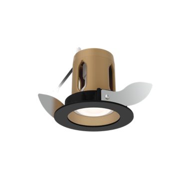 Ambifit T101 Black Brass 1
