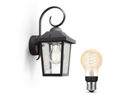 Buzzard Wall Lantern Black + E27 White Filament LED Bulb