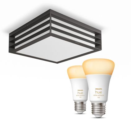 Close up of front of Moonshine Ceiling Lamp Anthracite + E27 White Ambiance Bulbs