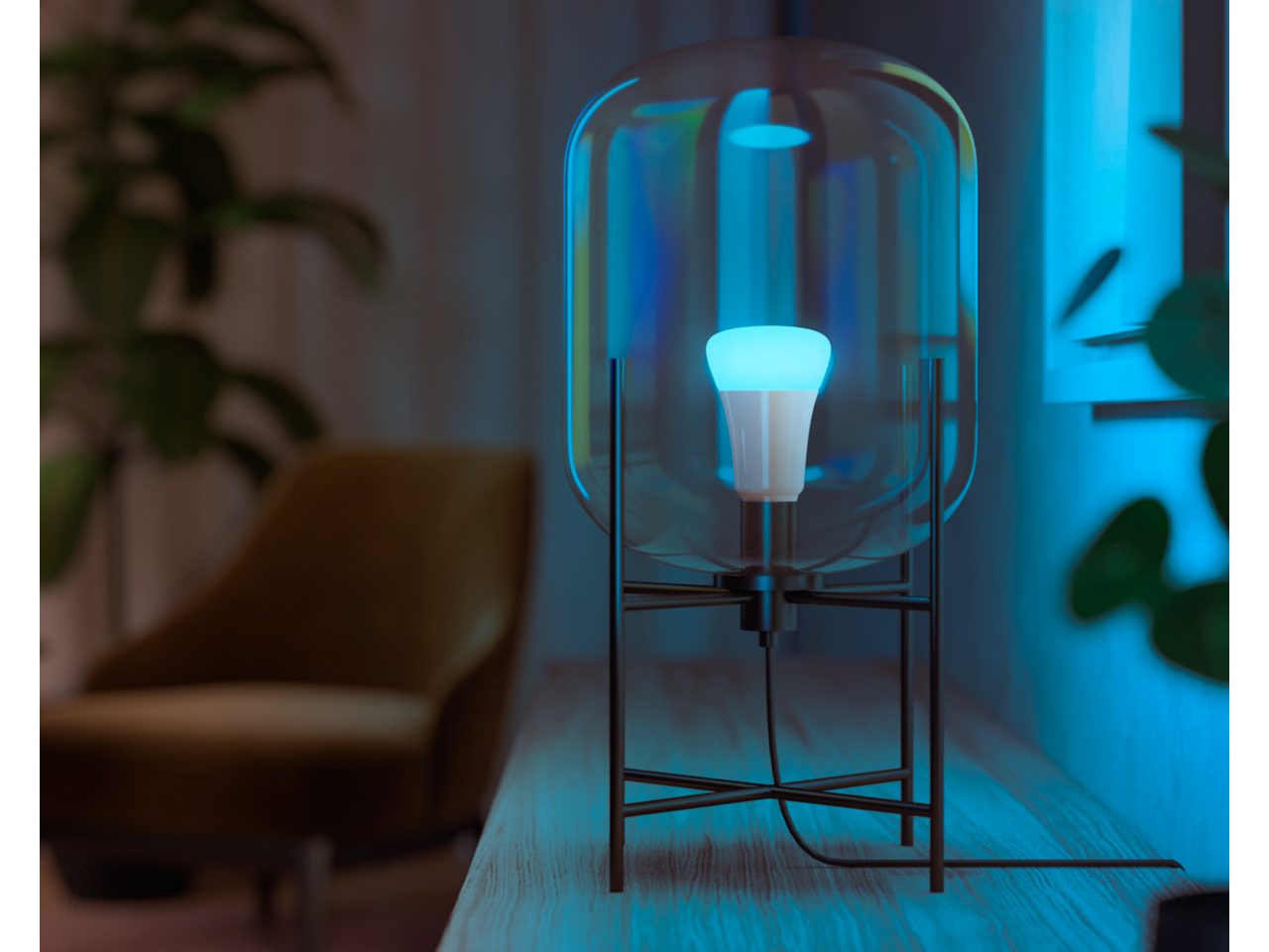 Hue Starter Kit: 2-pack A19 E26 60W LED Bulbs White and Hue Starter Kit: 2-pack A19 E26 60W LED Bulbs White and