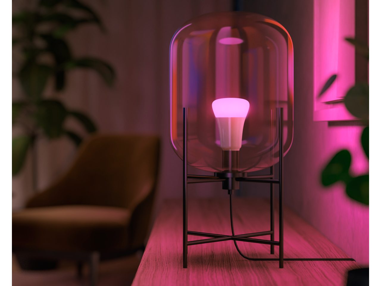 Hue Starter Kit: Smart Switch + 2-pack White and Colour Hue Starter Kit: Smart Switch + 2-pack White and Colour
