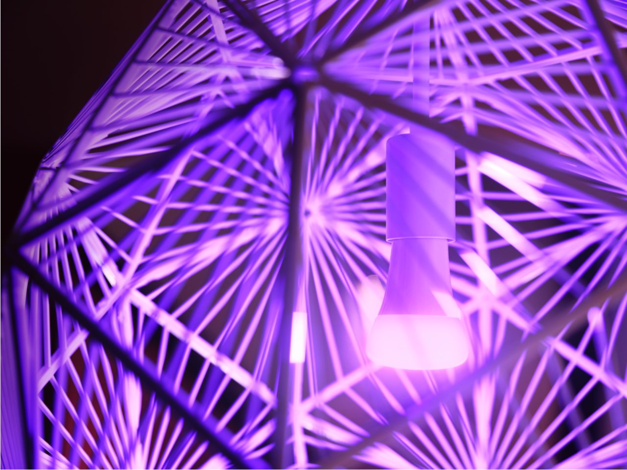 philips hue white and color 5個セット Amazon.com: Philips Hue White and Color Ambiance Base Lumen