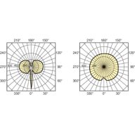 Light Distribution Diagram - MASTERC CDM-TC 70W/830 G8.5 1CT/12