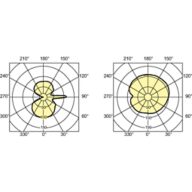Light Distribution Diagram - MASTERC CDM-T 35W/842 G12 1CT/12