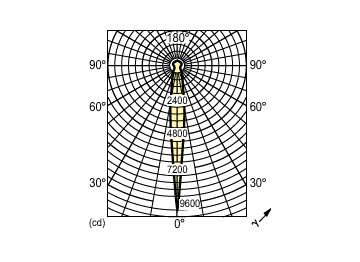 Light Distribution Diagram - PAR38 120W E27/51 220-240V PAR38 12D 1CT
