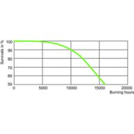 LDLE_SONTHORT_0004-Life expectancy diagram