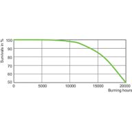 LDLE_SONTHORT_0007-Life expectancy diagram