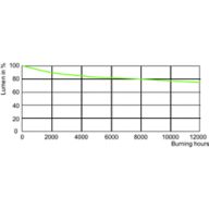 Lumen Maintenance Diagram - MASTERC CDM-R 70W/942 E26 PAR30L 40D 1CT