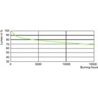 Lumen Maintenance Diagram - MASTERC CDM-T Elite 35W/942 G12 1CT