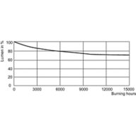 Lumen Maintenance Diagram - MASTER SDW-T 100W/825 PG12-1 1SL/12