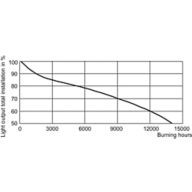 LDSL_CDM-TD_0001-Service Lifetime