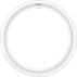 LED LED EM/Mains C-T9