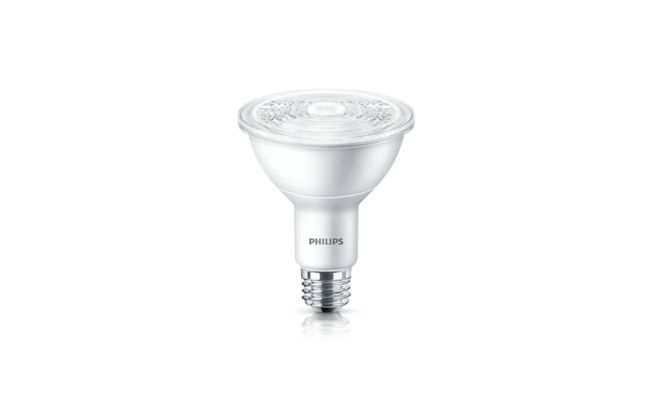 LED PAR30 S/L