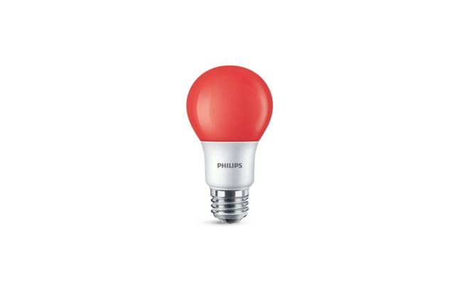 LED Party Bulbs