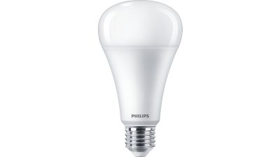 LED Крушка 22W A80 E27