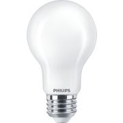 DEL Ampoule d&eacute;polie &agrave; filament A19&nbsp;E26 de 100&nbsp;W