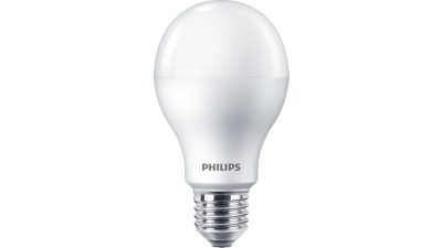 LED 燈泡 109W A65 E27