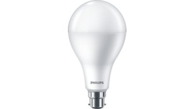 LED Bulb 160W A80 B22