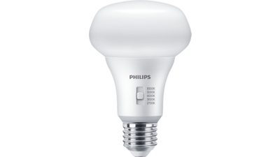 LED Bulb 95W R80 E27