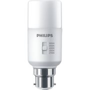LED Bulb 75W Stick B22