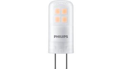 LED Brenner, 20W Brenner GY6.35