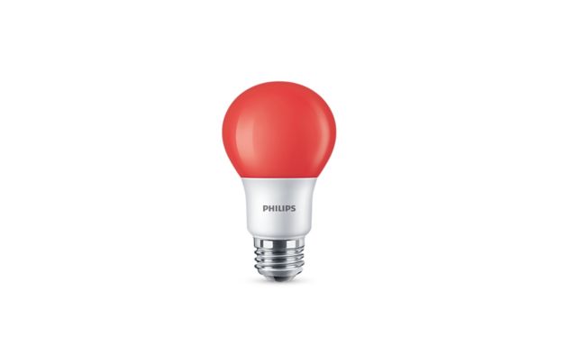 Specialty Lamps