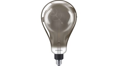 LED Lemputė patamsinta, 20 W A160 E27