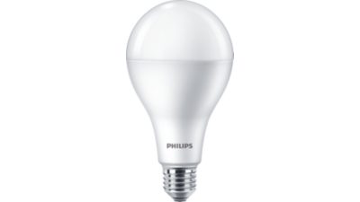 LED Bulb 155W A80 E27