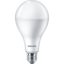 ESS LEDBulb 19W E27 3000K A80 1CT/12 CN