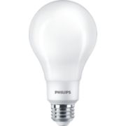 LED Filament Bulb Frosted 200;150;100W A21 E26