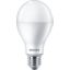 ESS LEDBulb 15W E27 3000K A67 1CT/12 CN