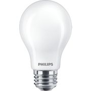 DEL Ampoule d&eacute;polie &agrave; filament A19&nbsp;E26 de 60&nbsp;W